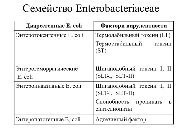 Семейство Enterobacteriaceae