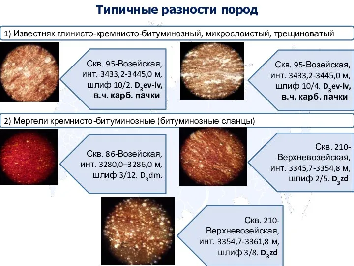 1) Известняк глинисто-кремнисто-битуминозный, микрослоистый, трещиноватый Скв. 95-Возейская, инт. 3433,2-3445,0 м, шлиф 10/4.