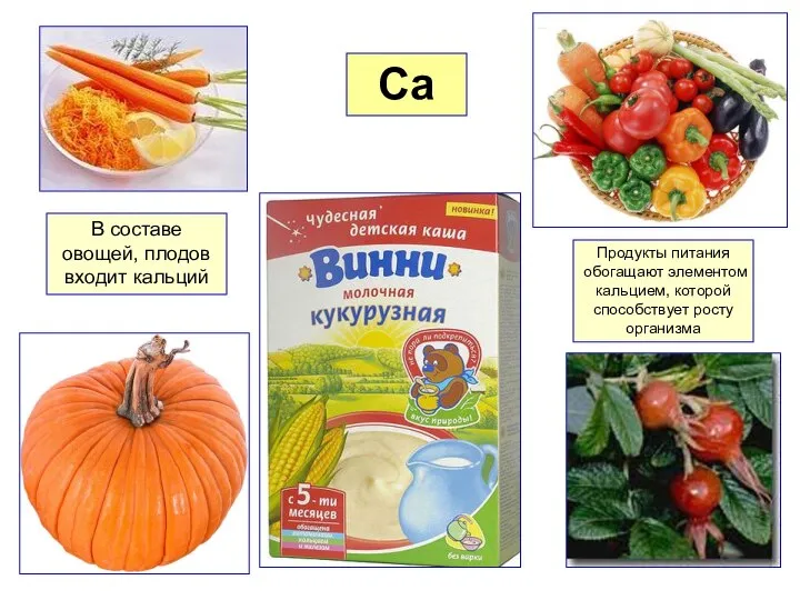 Ca В составе овощей, плодов входит кальций Продукты питания обогащают элементом кальцием, которой способствует росту организма
