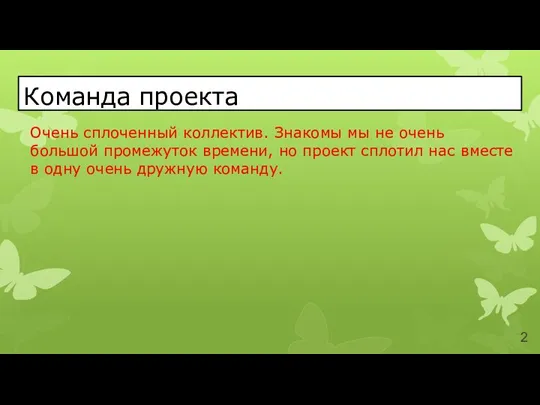 Команда проекта Очень сплоченный коллектив. Знакомы мы не очень большой промежуток времени,