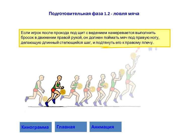 Если игрок после прохода под щит с ведением намеревается выполнить бросок в