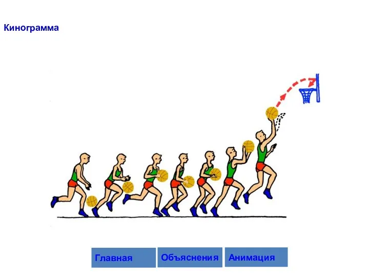 Кинограмма Объяснения Анимация Главная