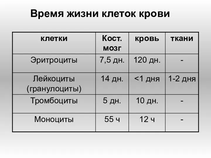 Время жизни клеток крови