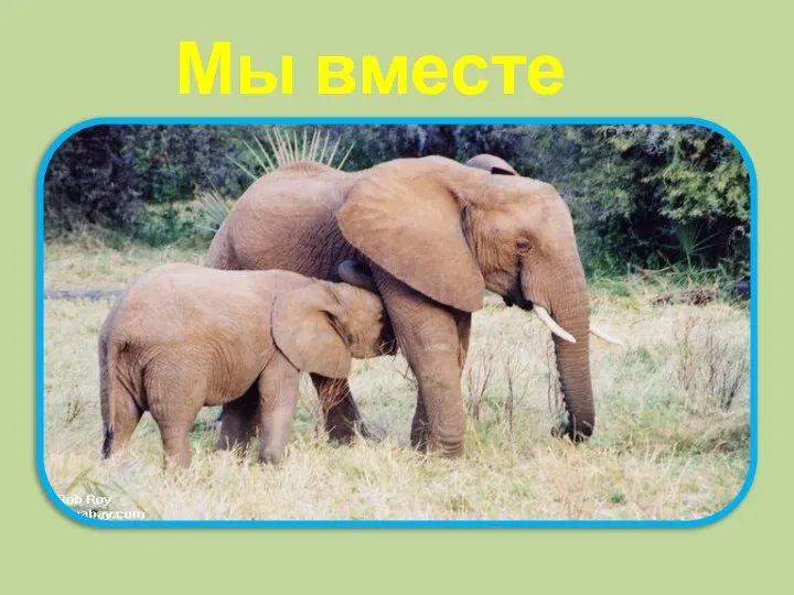 Мы вместе