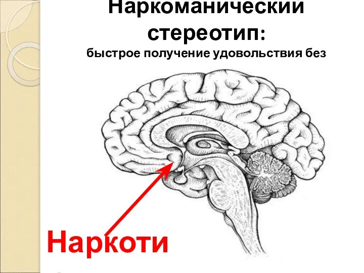 Наркоманический стереотип: быстрое получение удовольствия без затраты каких-либо усилий Наркотик