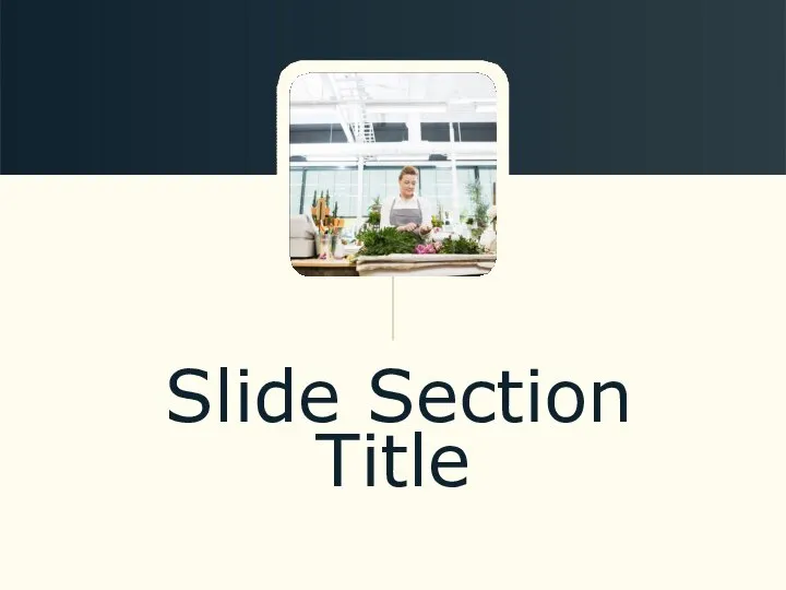 Slide Section Title