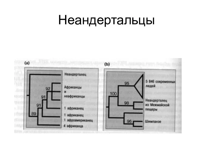 Неандертальцы