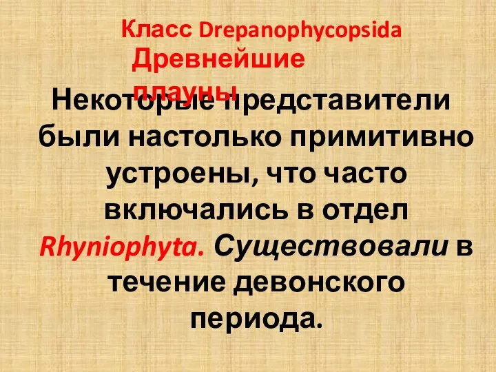 Некоторые представители были настолько примитивно устроены, что часто включались в отдел Rhyniophyta.