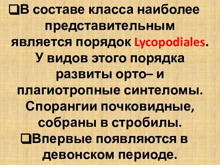 В составе класса наиболее представительным является порядок Lycopodiales. У видов этого порядка