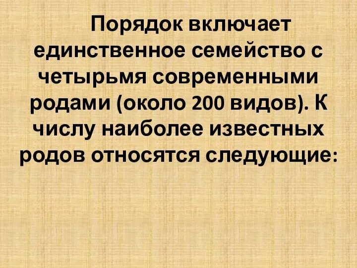 Порядок включает единственное семейство с четырьмя современными родами (около 200 видов). К