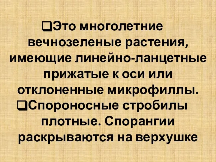 Это многолетние вечнозеленые растения, имеющие линейно-ланцетные прижатые к оси или отклоненные микрофиллы.