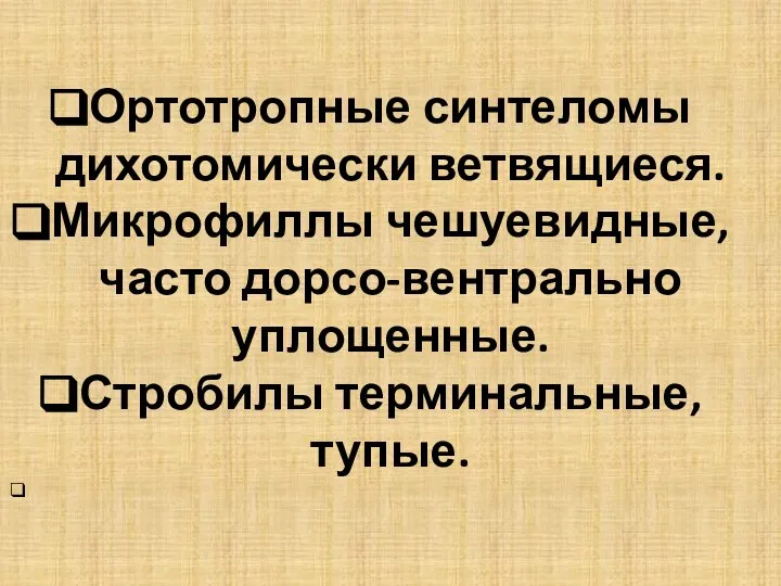 Ортотропные синтеломы дихотомически ветвящиеся. Микрофиллы чешуевидные, часто дорсо-вентрально уплощенные. Стробилы терминальные, тупые.