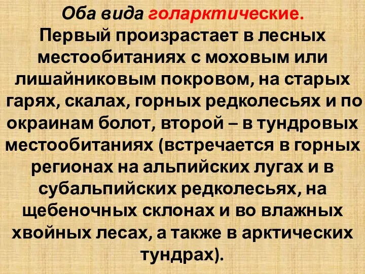 Оба вида голарктические. Первый произрастает в лесных местообитаниях с моховым или лишайниковым