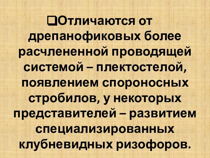 Отличаются от дрепанофиковых более расчлененной проводящей системой – плектостелой, появлением спороносных стробилов,