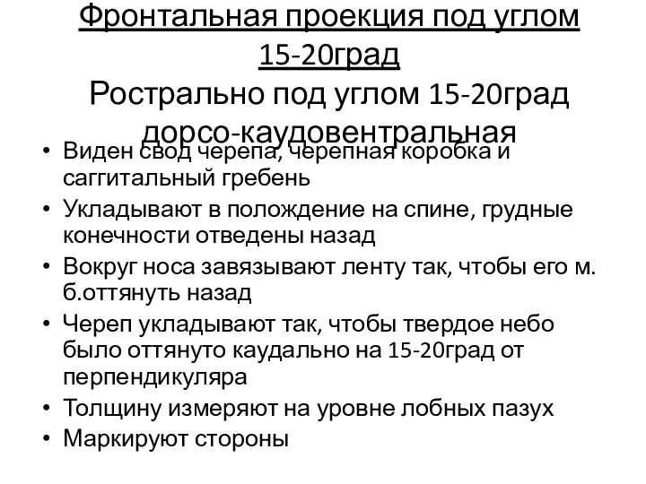 Фронтальная проекция под углом 15-20град Рострально под углом 15-20град дорсо-каудовентральная Виден свод