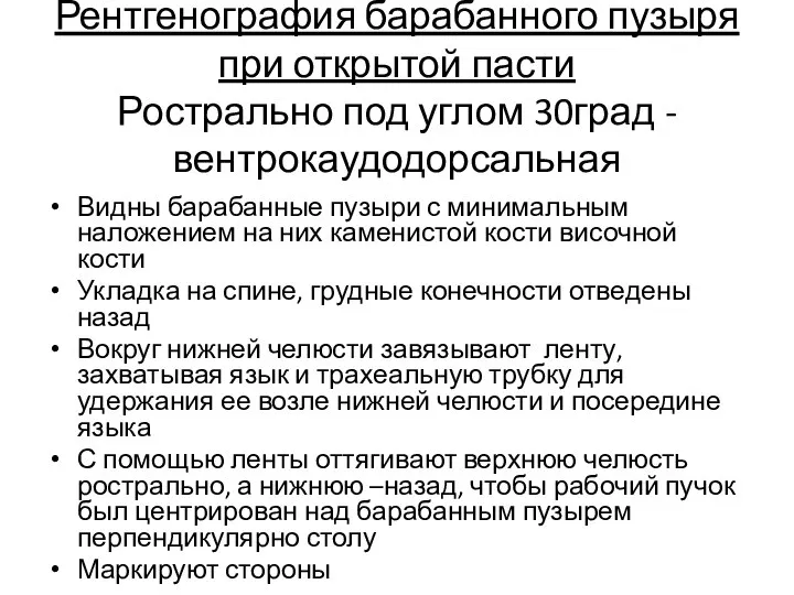 Рентгенография барабанного пузыря при открытой пасти Рострально под углом 30град - вентрокаудодорсальная