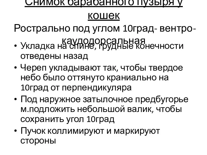 Снимок барабанного пузыря у кошек Рострально под углом 10град- вентро-каудодорсальная Укладка на