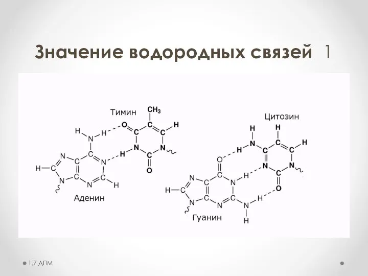 Значение водородных связей 1 1.7 ДПМ