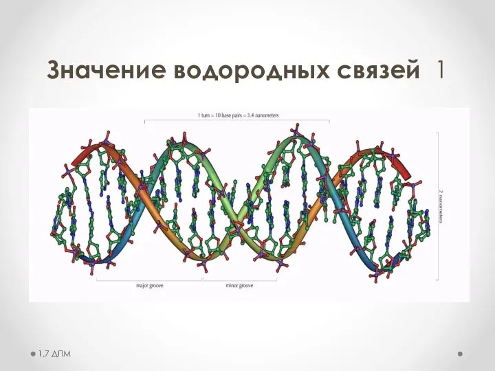 Значение водородных связей 1 1.7 ДПМ