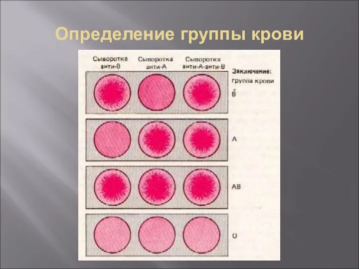 Определение группы крови