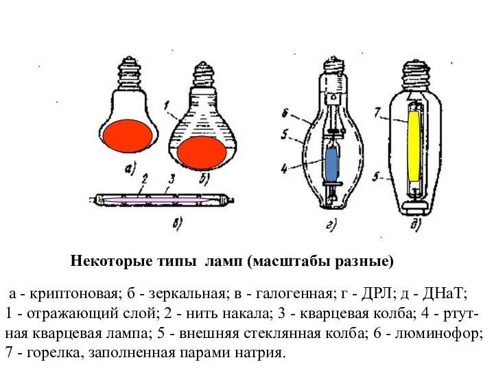 Некоторые типы ламп (масштабы разные) а - криптоновая; б - зеркальная; в