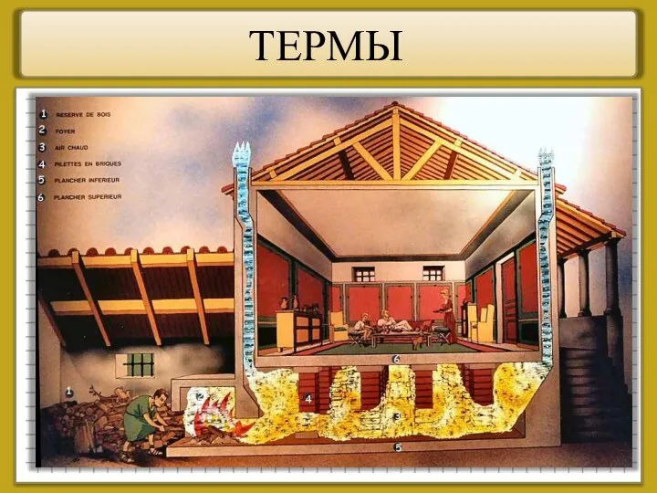 ТЕРМЫ