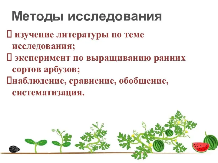 изучение литературы по теме исследования; эксперимент по выращиванию ранних сортов арбузов; наблюдение,