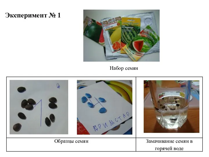 Эксперимент № 1 Набор семян