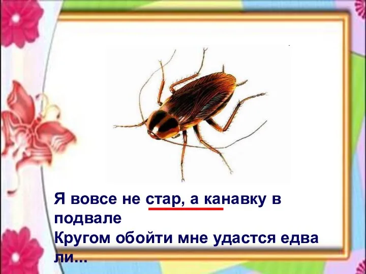 Я вовсе не стар, а канавку в подвале Кругом обойти мне удастся едва ли...