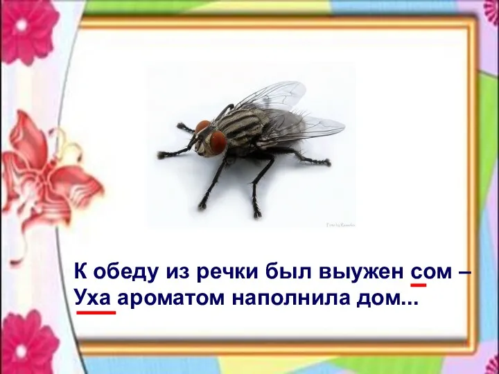 К обеду из речки был выужен сом – Уха ароматом наполнила дом...