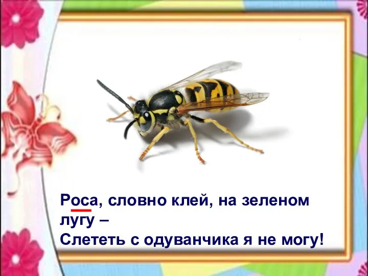 Роса, словно клей, на зеленом лугу – Слететь с одуванчика я не могу!