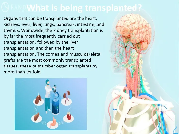 Organs that can be transplanted are the heart, kidneys, eyes, liver, lungs,