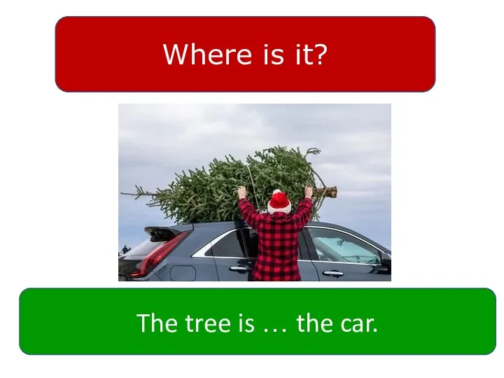 Where is it? The tree is … the car.