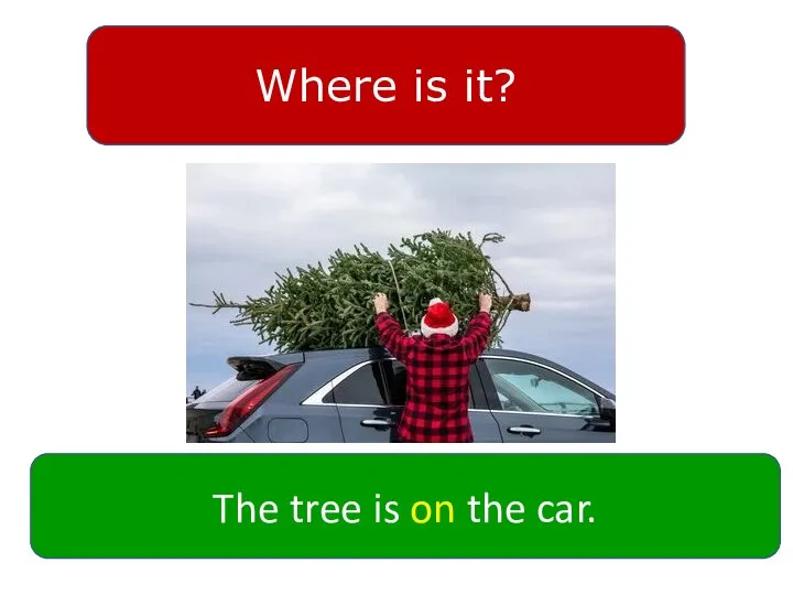 Where is it? The tree is on the car.