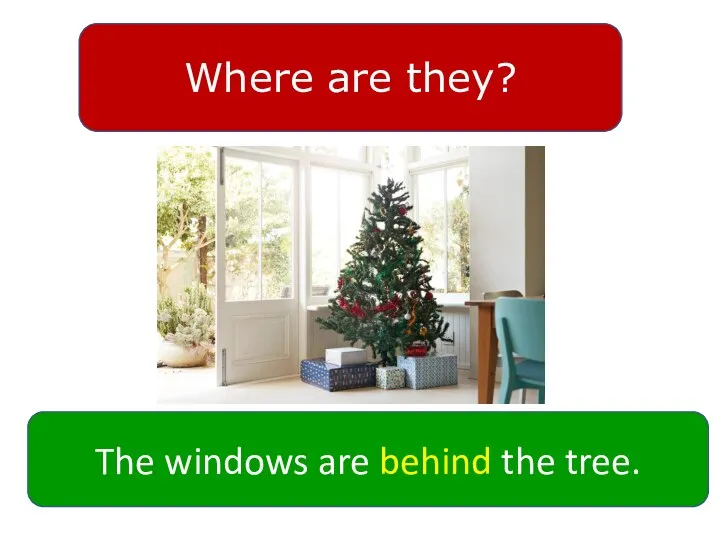 Where are they? The windows are behind the tree.