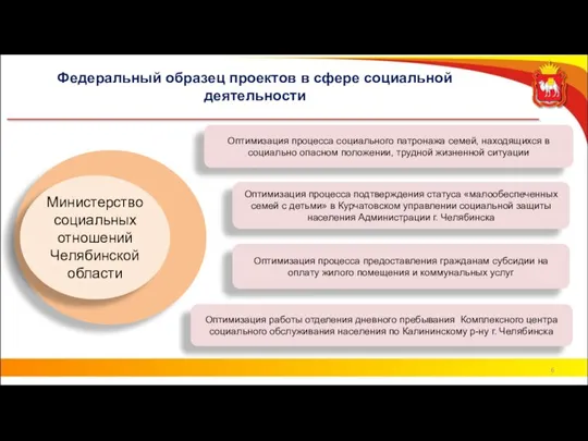 Федеральный образец проектов в сфере социальной деятельности Министерство социальных отношений Челябинской области