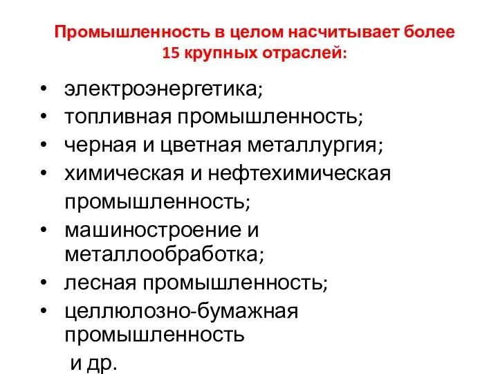 Промышленность в целом насчитывает более 15 крупных отраслей: электроэнергетика; топливная промышленность; черная