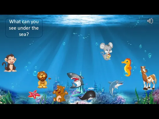 What can you see under the sea?