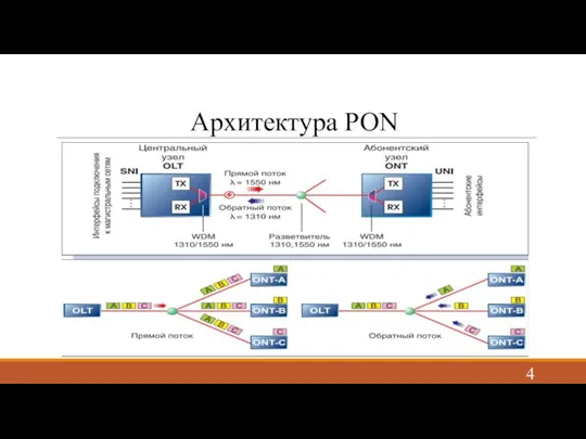 Архитектура PON