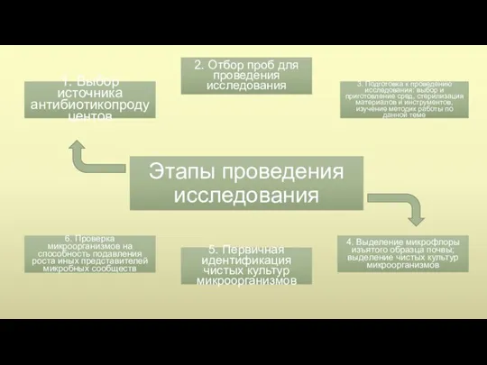 Этапы проведения исследования 1. Выбор источника антибиотикопродуцентов 2. Отбор проб для проведения