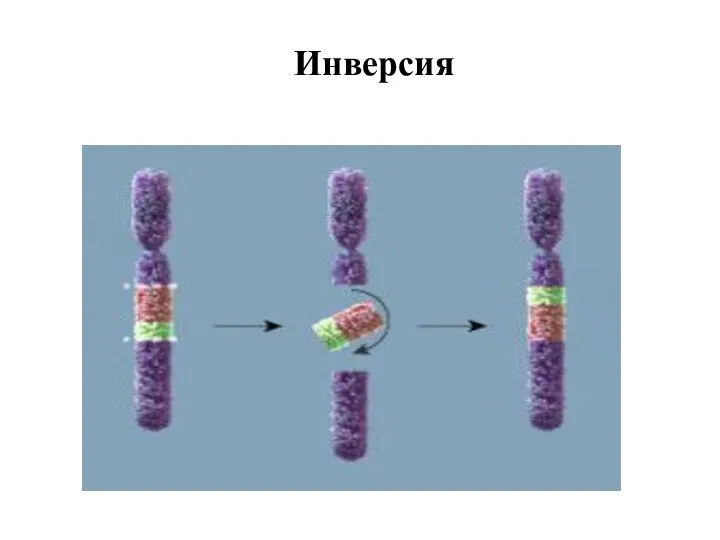 Инверсия