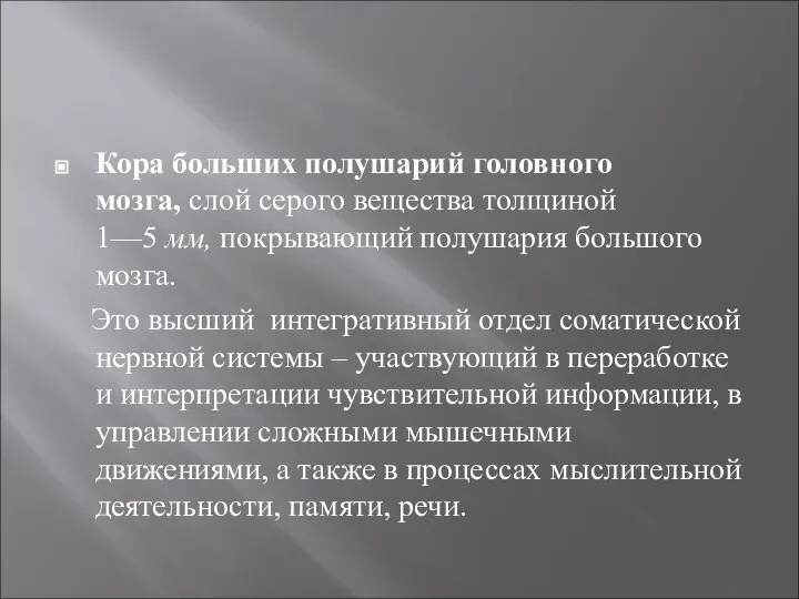 Кора больших полушарий головного мозга, слой серого вещества толщиной 1—5 мм, покрывающий