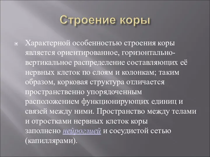 Характерной особенностью строения коры является ориентированное, горизонтально-вертикальное распределение составляющих её нервных клеток