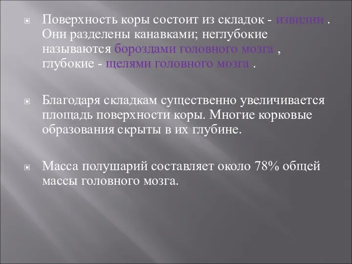 Поверхность коры состоит из складок - извилин . Они разделены канавками; неглубокие