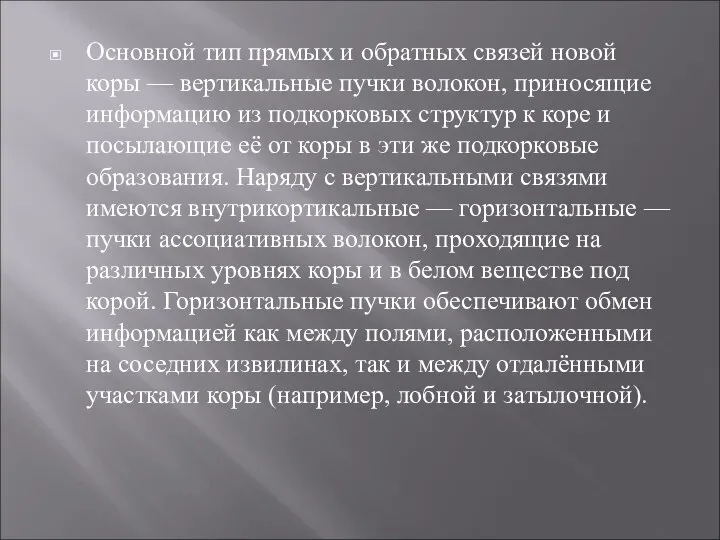 Основной тип прямых и обратных связей новой коры — вертикальные пучки волокон,