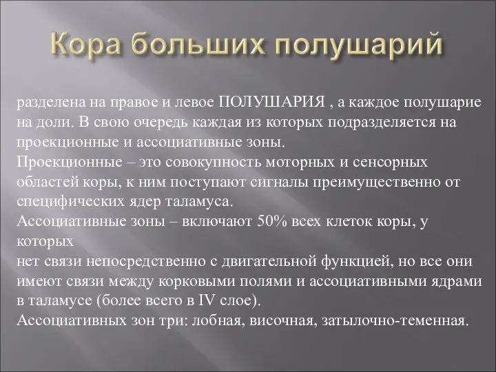 разделена на правое и левое ПОЛУШАРИЯ , а каждое полушарие на доли.