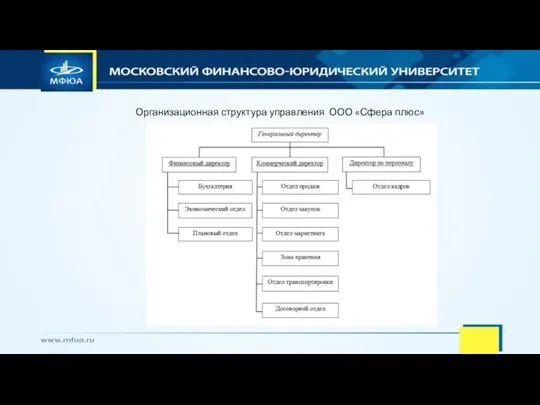 Организационная структура управления ООО «Сфера плюс»