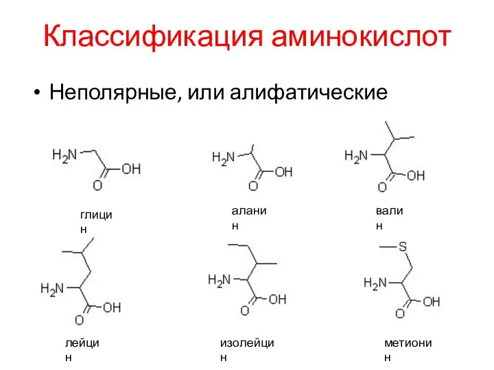 Классификация аминокислот Неполярные, или алифатические глицин аланин валин лейцин изолейцин метионин