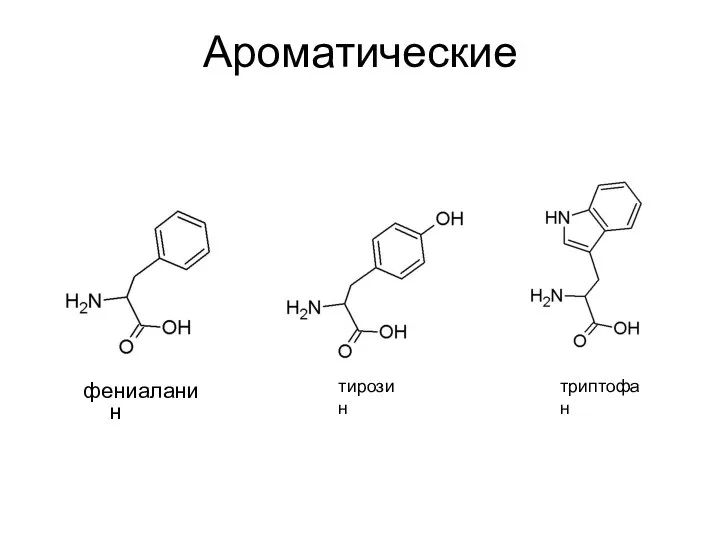 Ароматические фениаланин тирозин триптофан