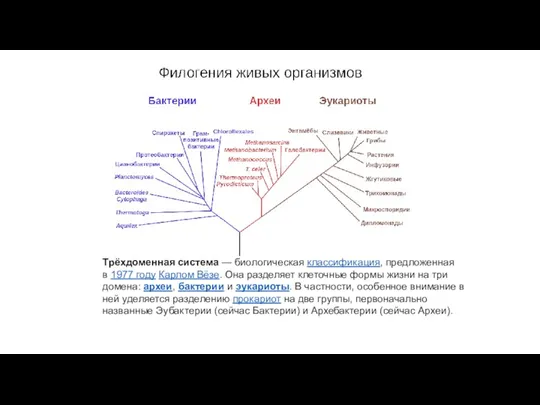 Трёхдоменная система — биологическая классификация, предложенная в 1977 году Карлом Вёзе. Она